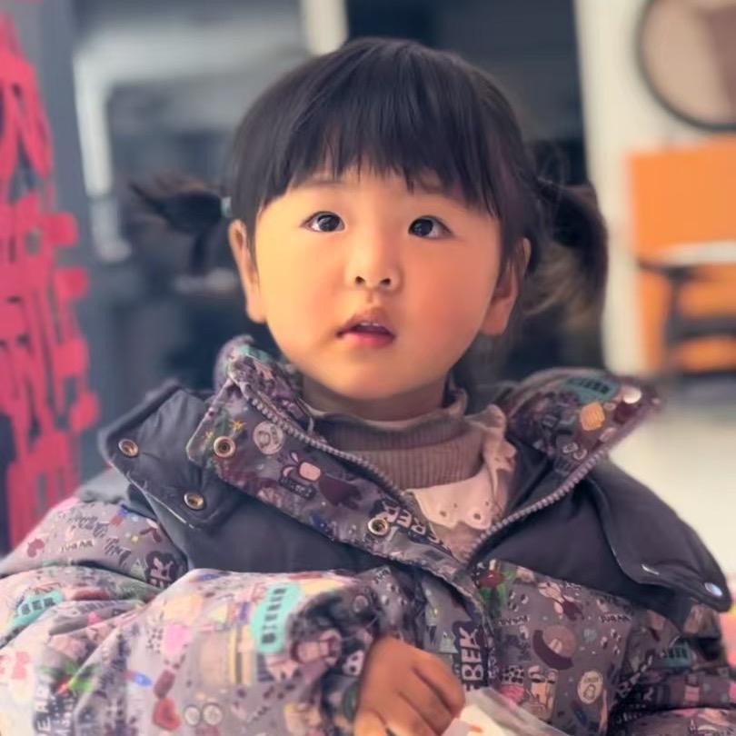 鹤壁六公子的小丸子