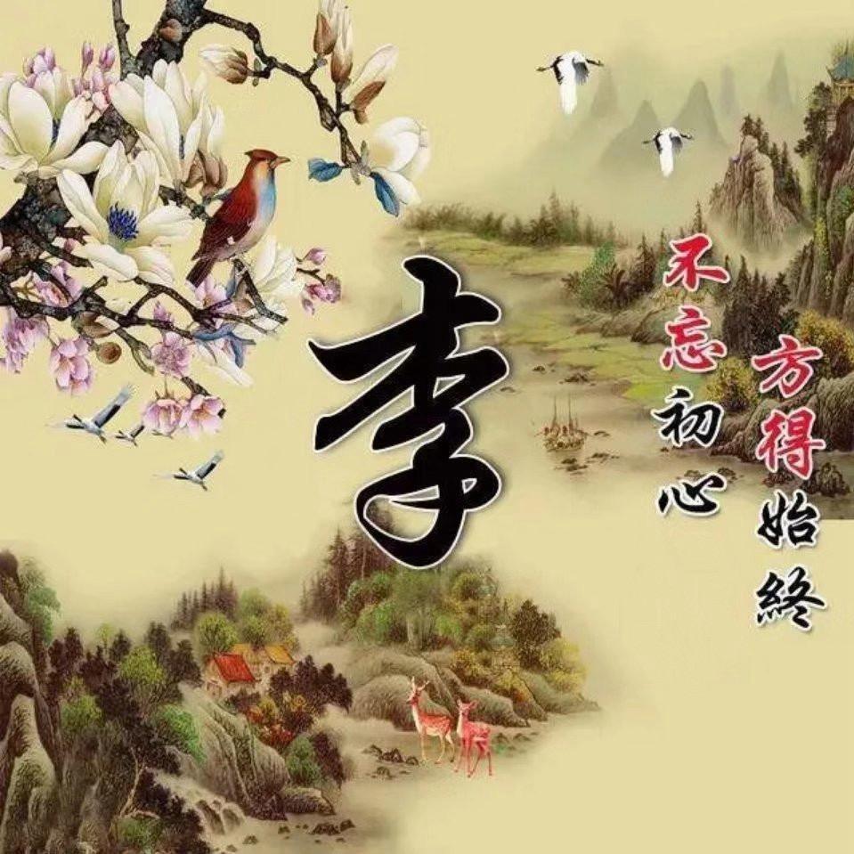 扶摇直上九萬里