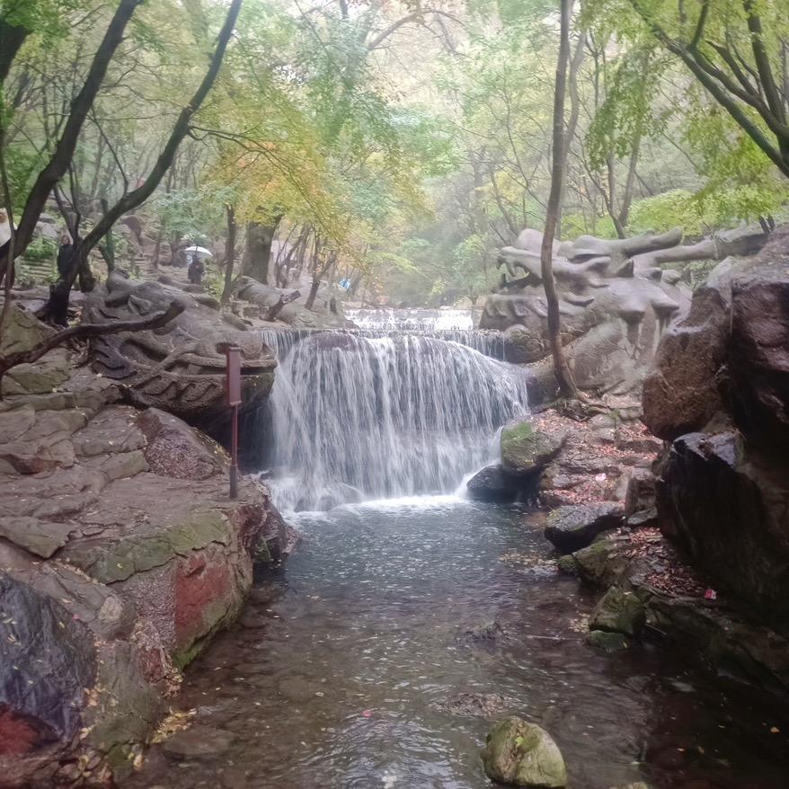 刘小红