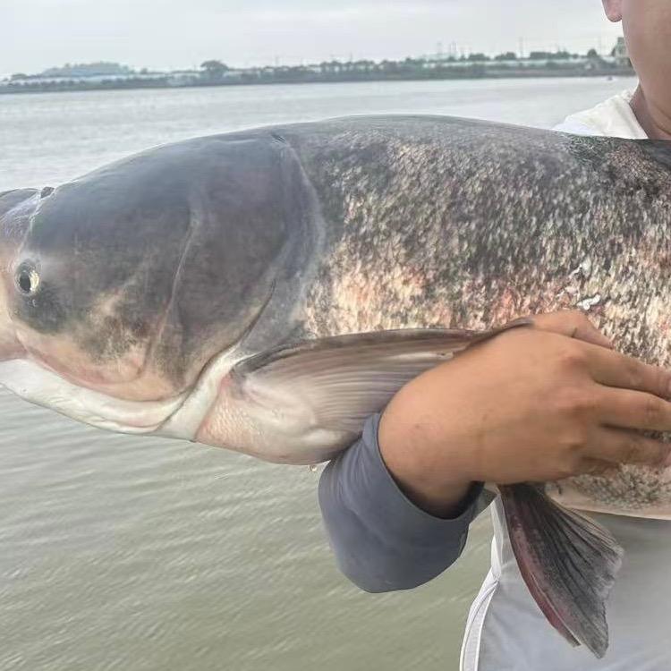 东钱湖韩岭水库
