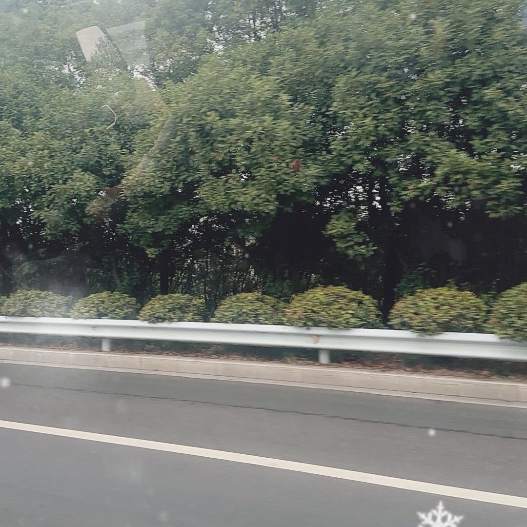 天道好轮回