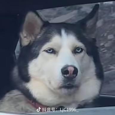 远方