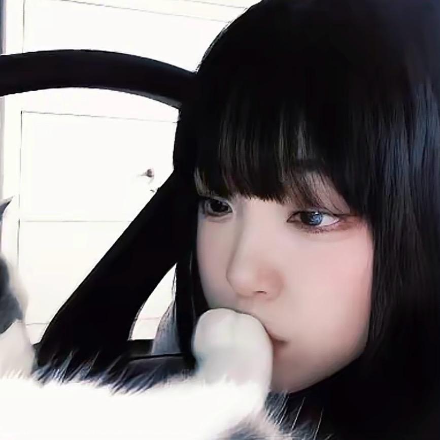 仙猪109