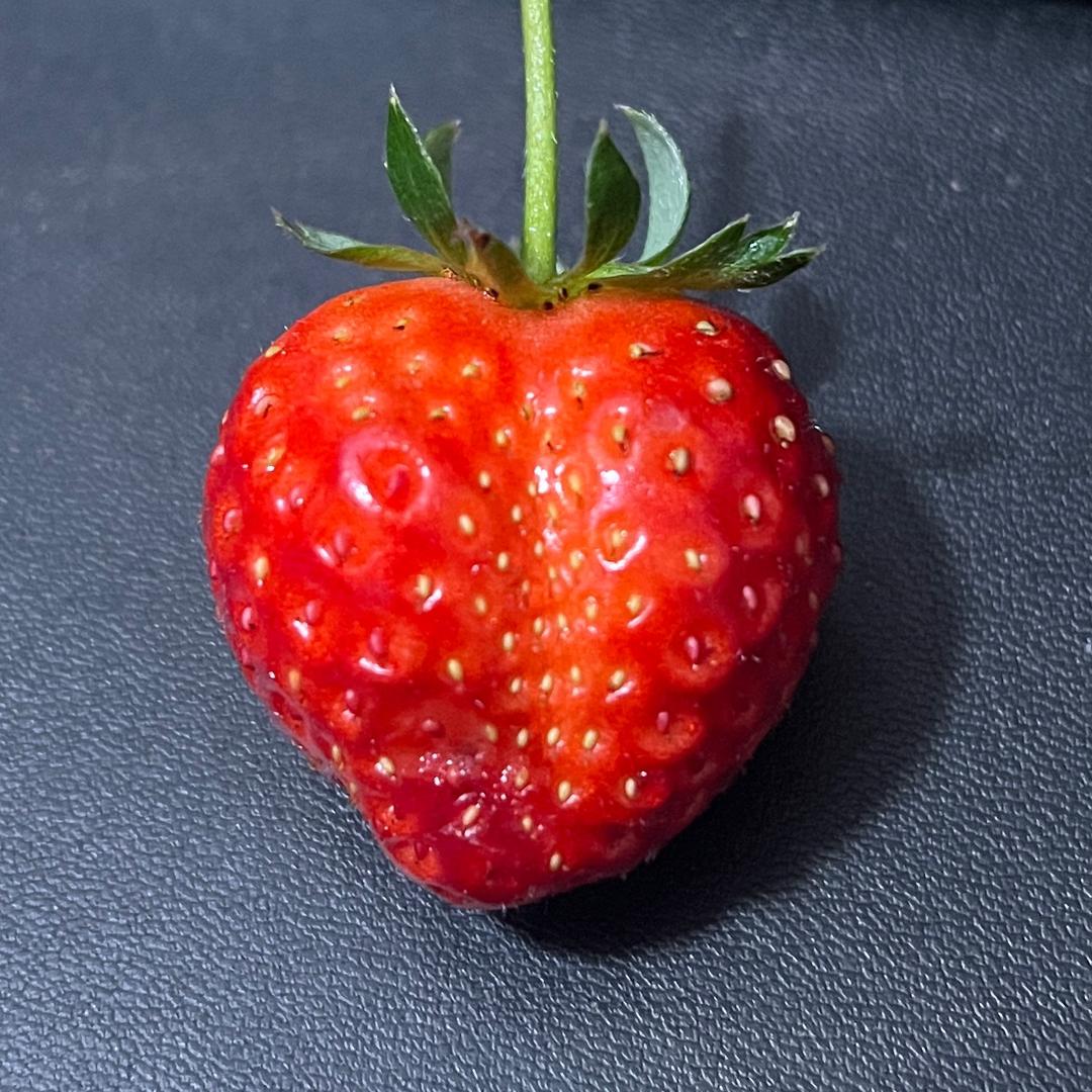 努力奔跑的妈妈