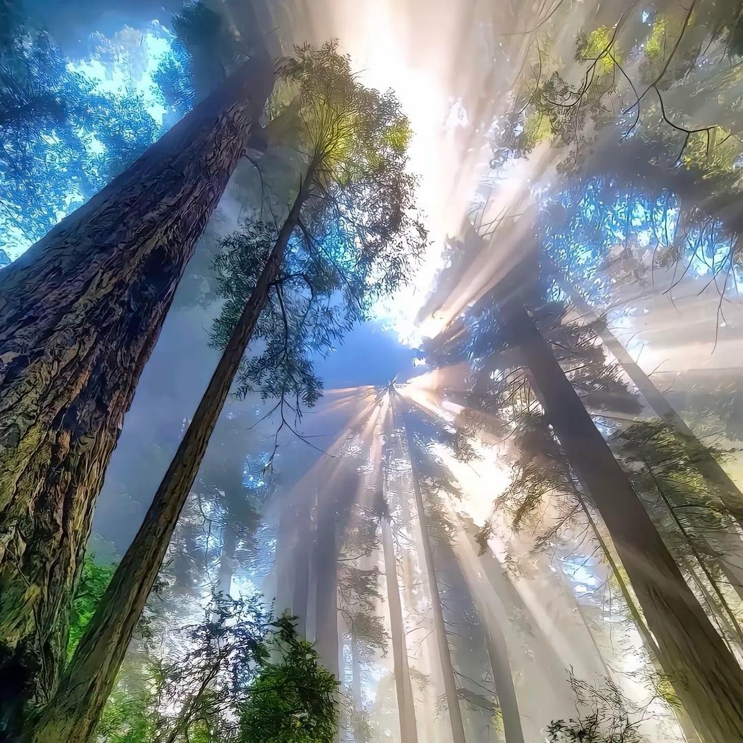 魔法少女郭德纲