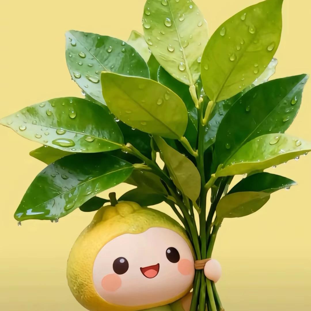 一心👑生活号