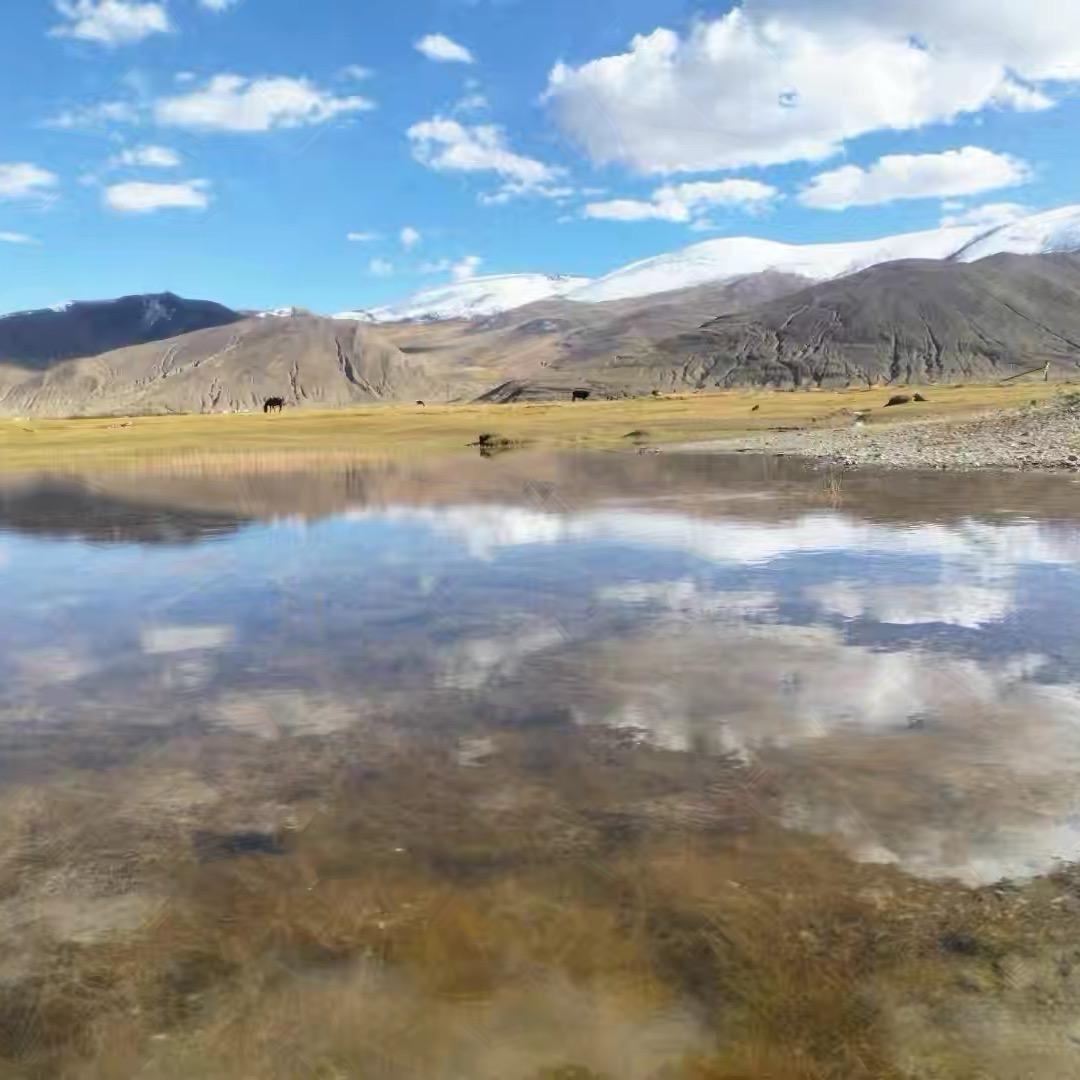 ღ᭄ꦿ牵念এ⁵²º💕