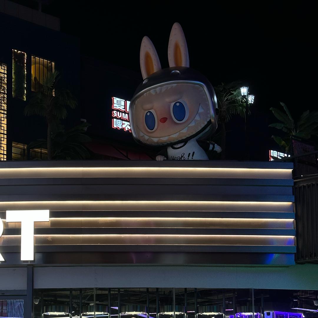 wild goose（1千粉露脸