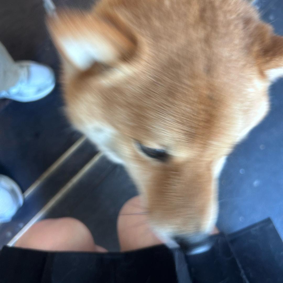 糖醋小鱼