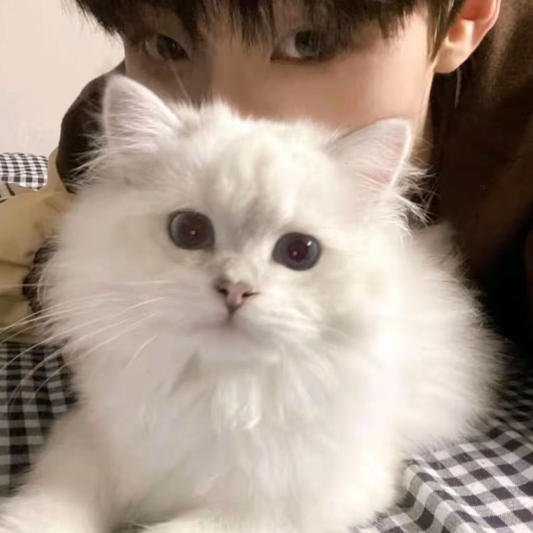 天福(东莞南城亨美公寓店)专用号