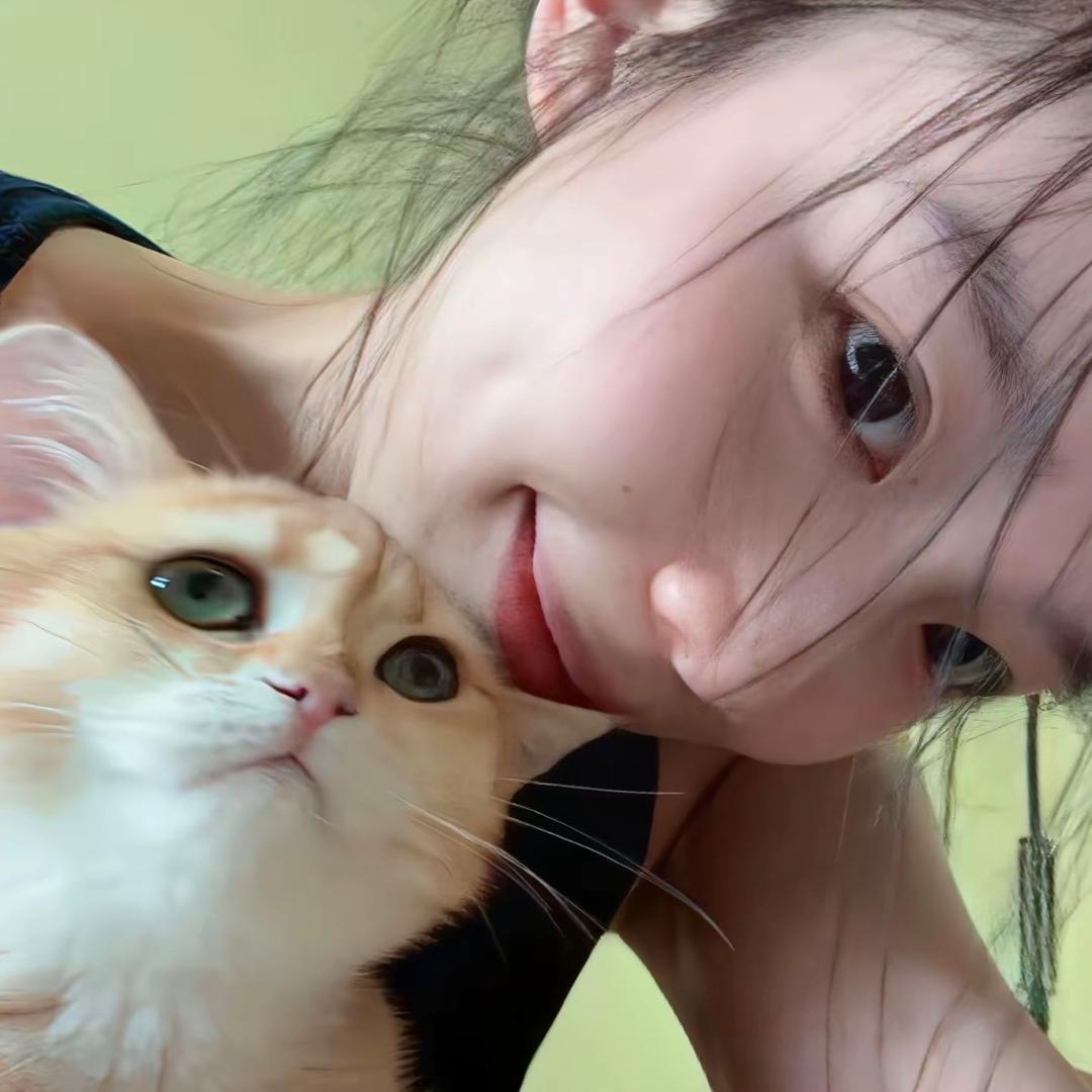 鹿小葵.