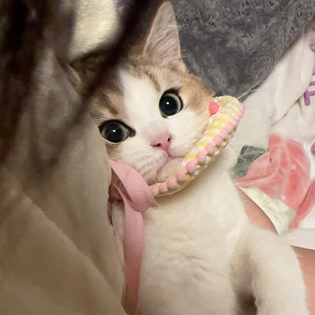 请叫我锤锤妈～