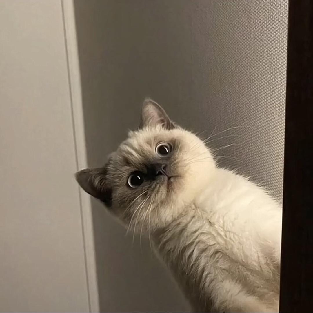 7777777777