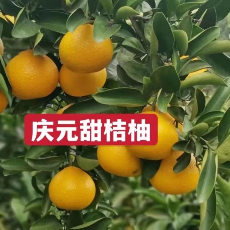 庆元县燕儿土特产经营部