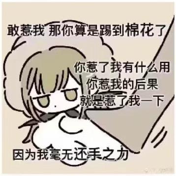 芬恩的精分日记