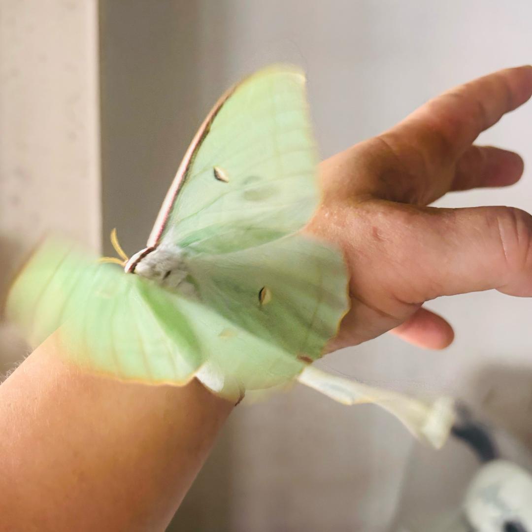 ღ᭄破茧🦋成蝶꧔ꦿ᭄💞