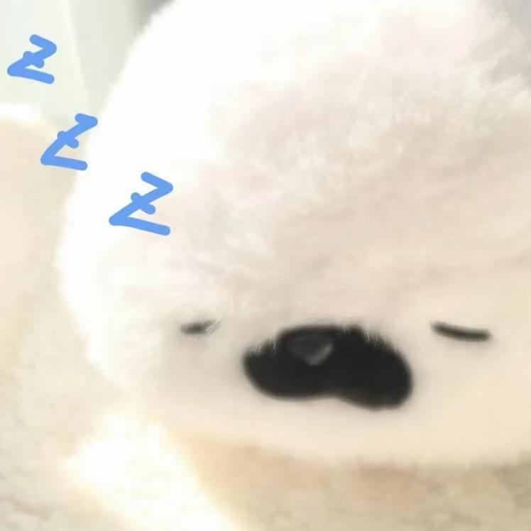 蛋挞边边