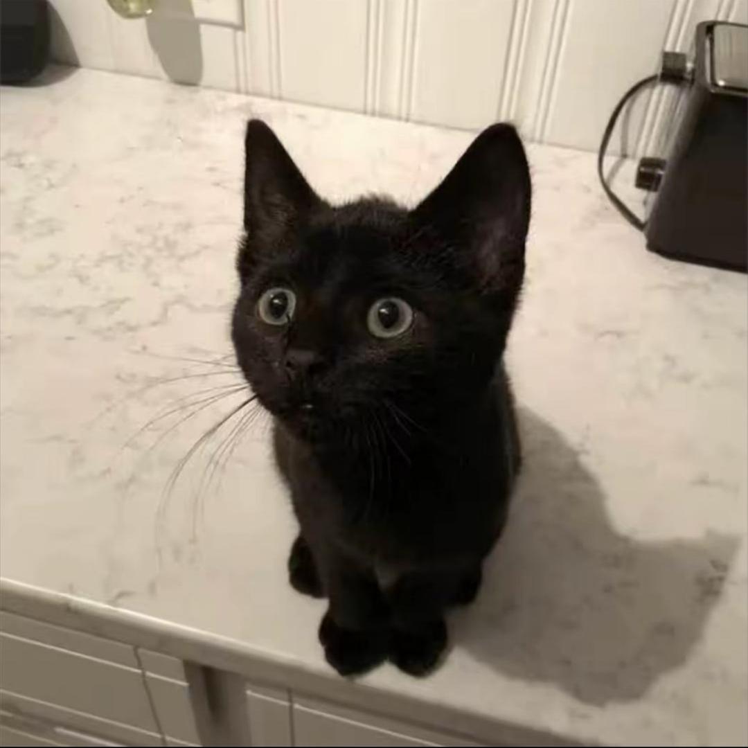 Yyu