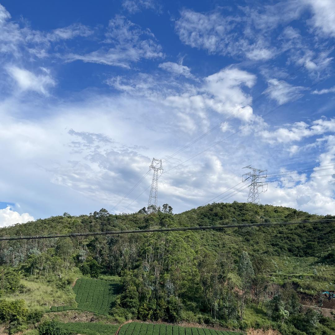 山间菜市
