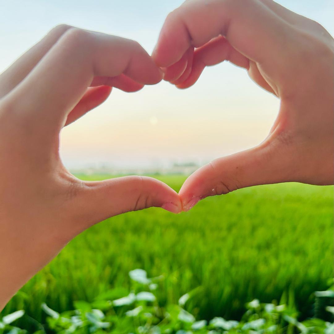 ₍˄·͈༝·͈˄*₎◞ ̑̑