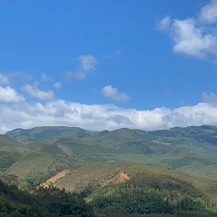 福建爱索门窗