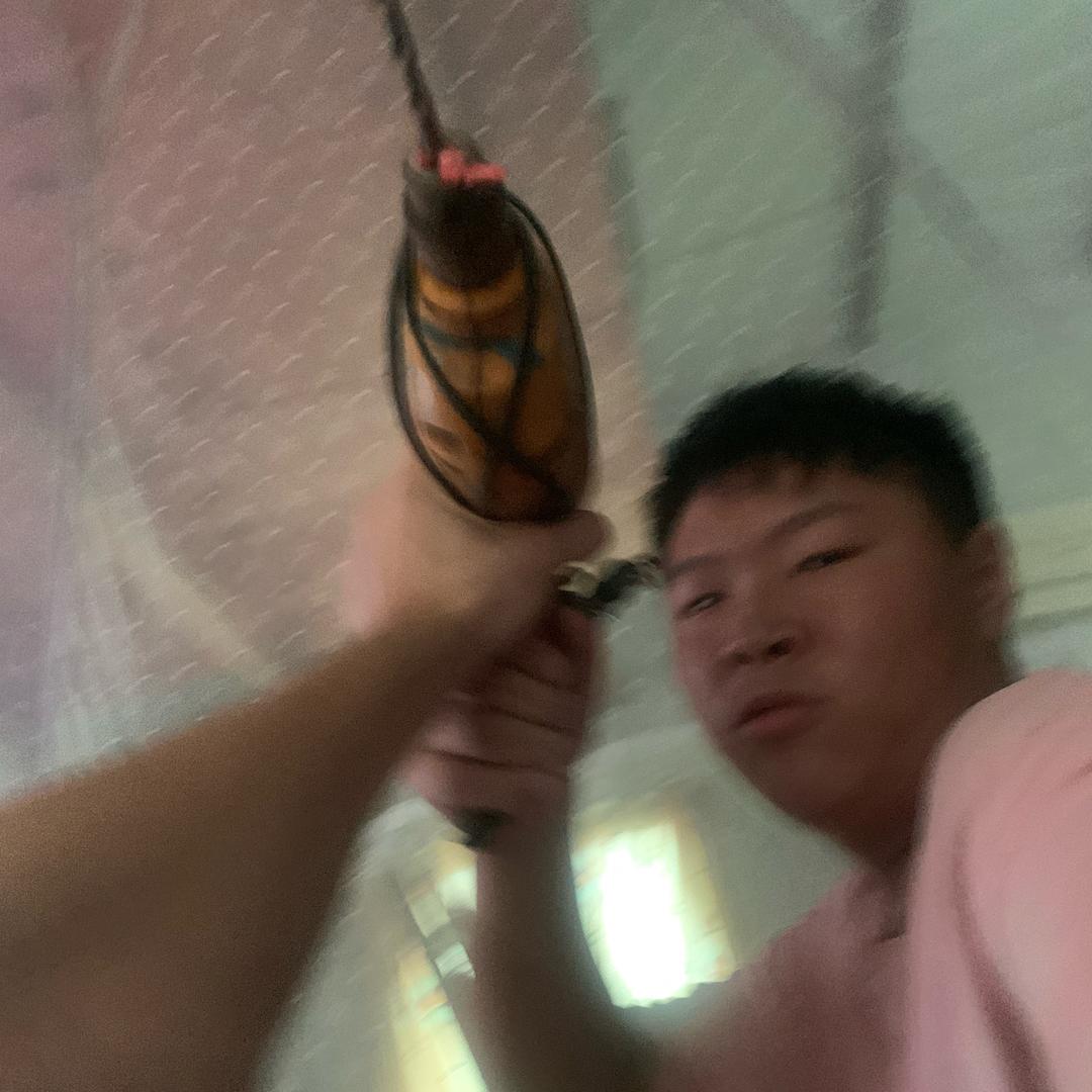 小乖兽