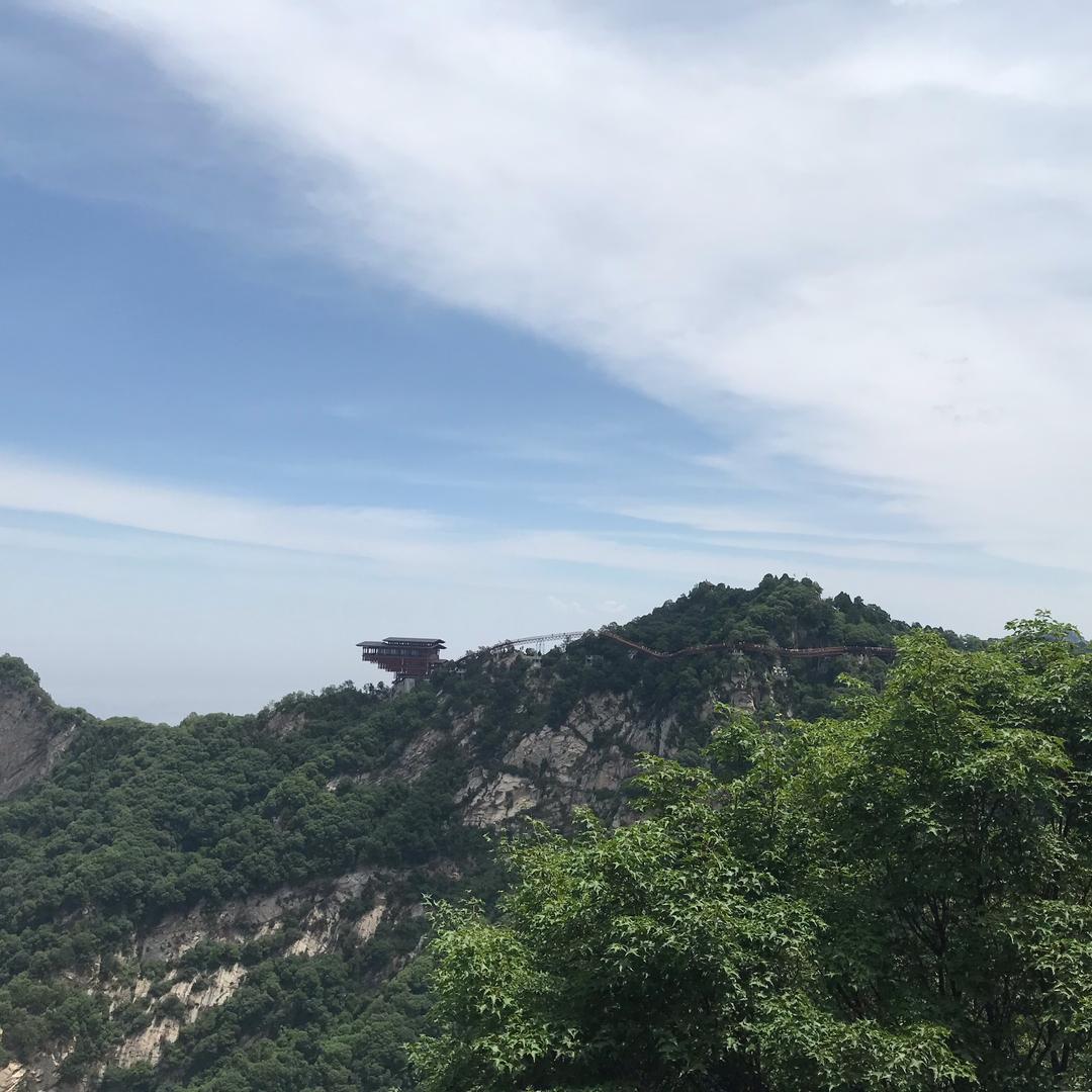 棒子