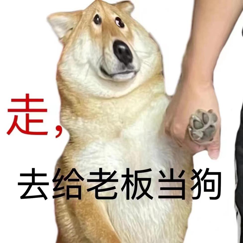 小羊的口袋世界