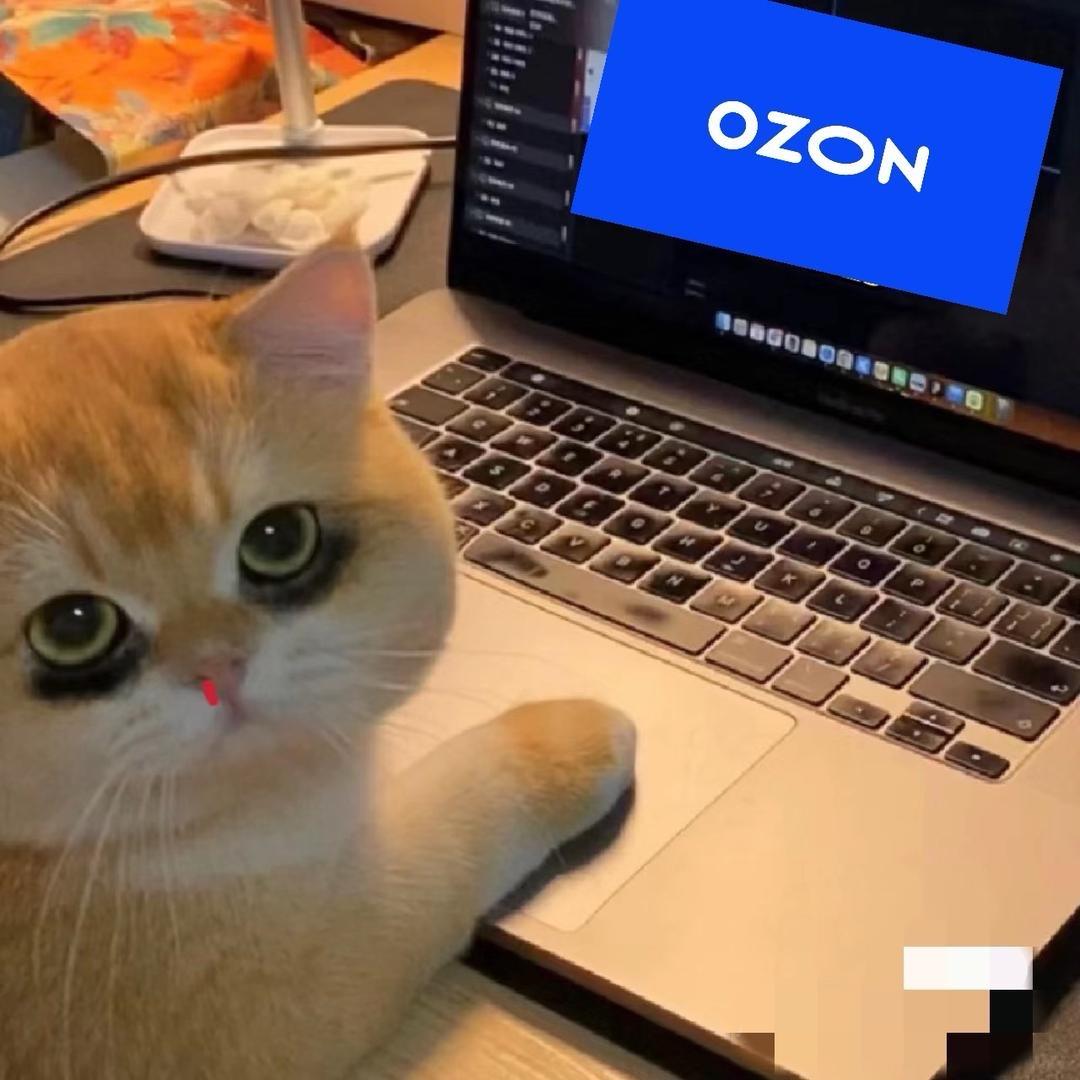 Ozon大队长（七古电商）唯一小号