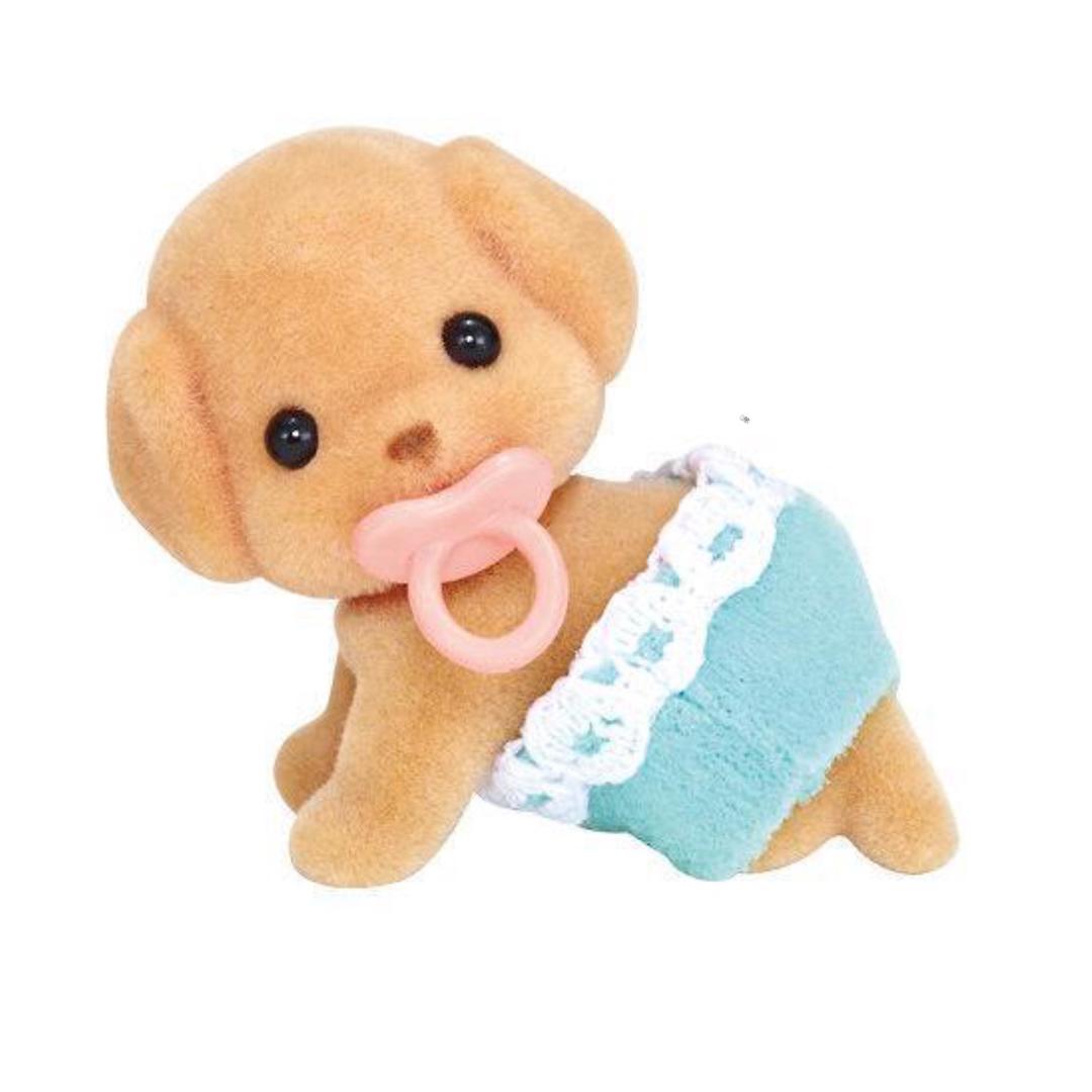 小羊🐑再出发🎤