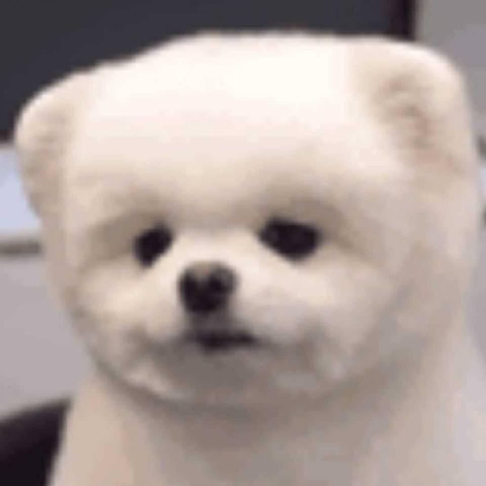 随便…