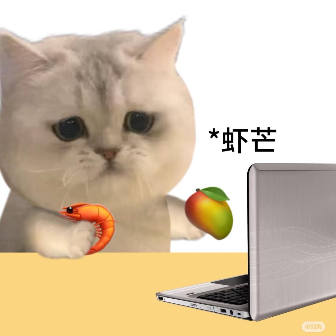 爱吃康师傅