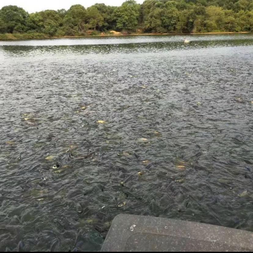 水产养殖