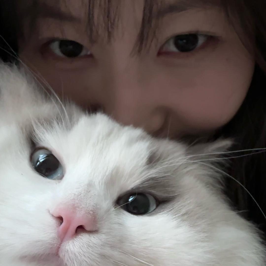 我有一只猫