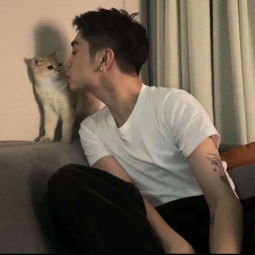 Yc✧