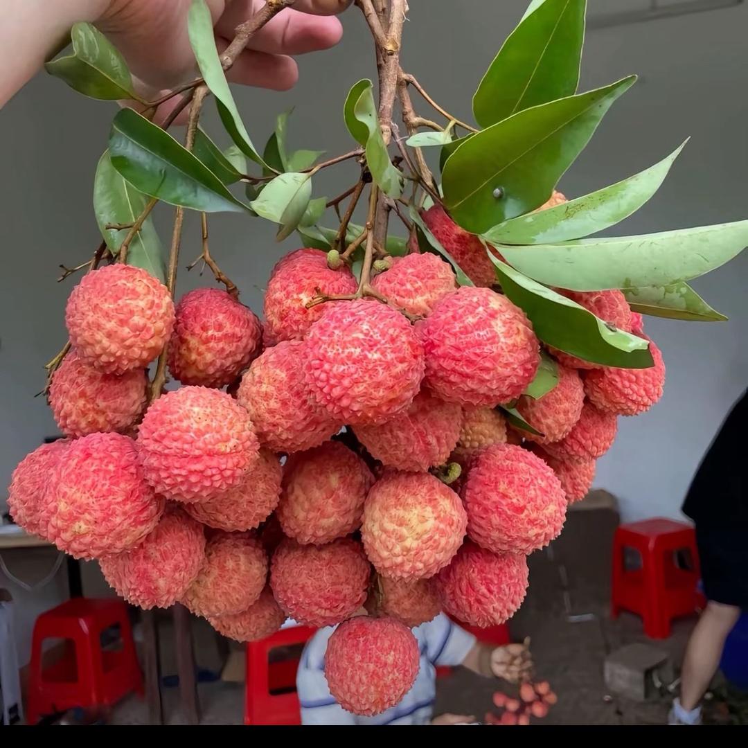 珍珠奶茶🧋