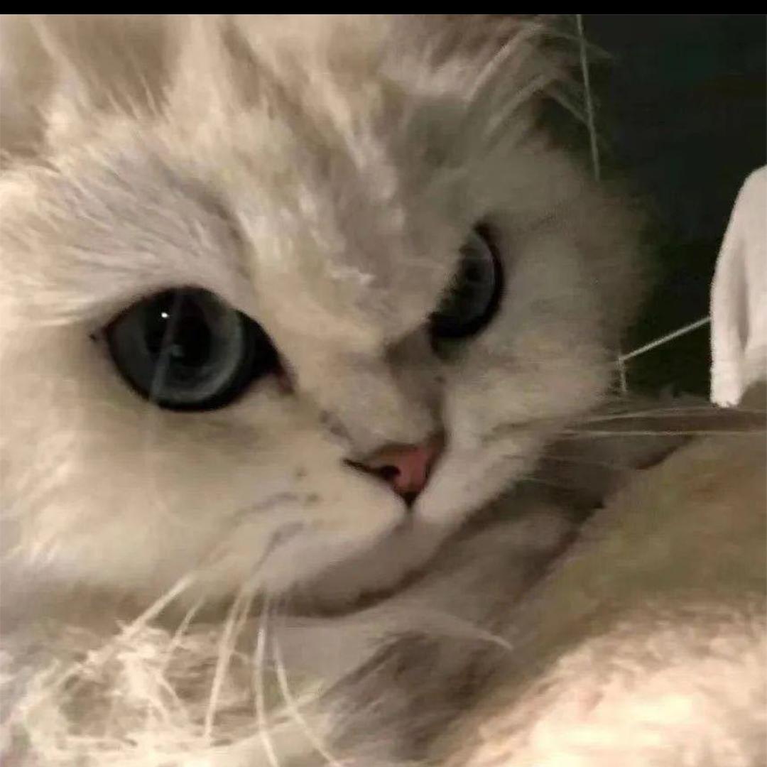 龚裴云