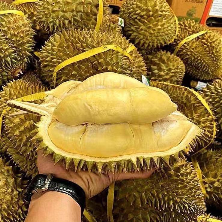 榴莲海洋吃货天堂之再来一次