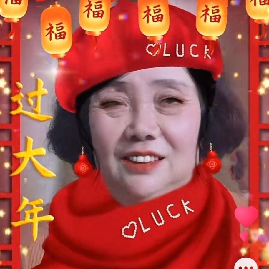 琴