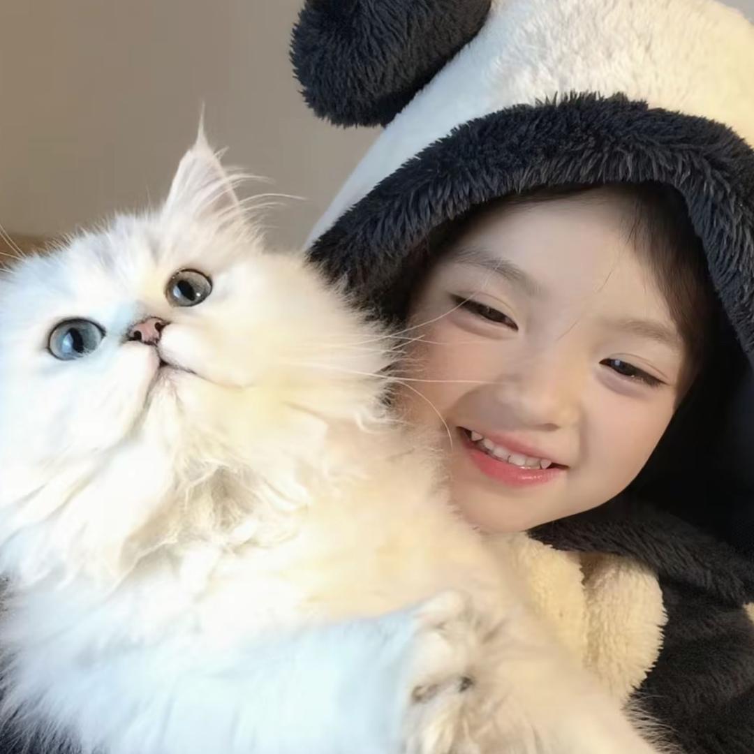 安徽洵昕网络科技有限公司