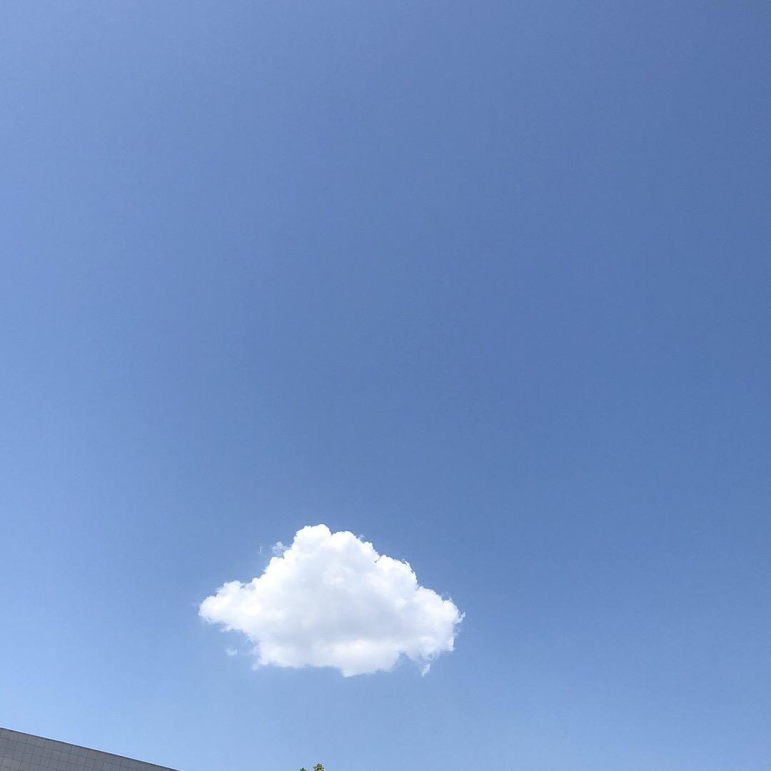 王局长
