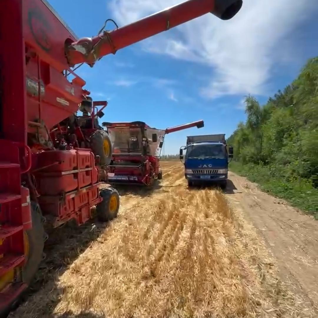 @农机爱好者（阳阳）