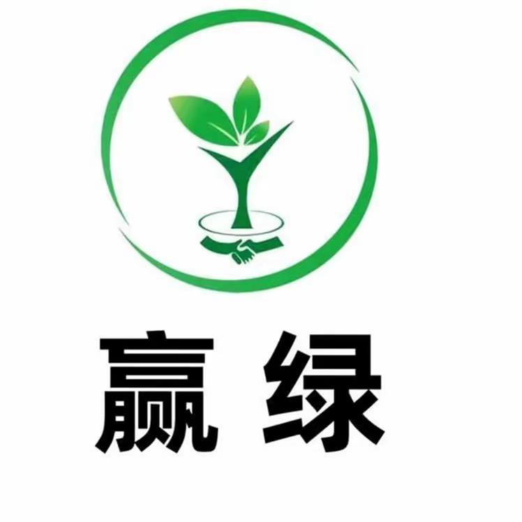 赢绿原母树【杨思】