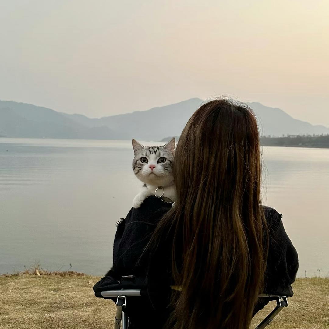 鱼🐟泡泡