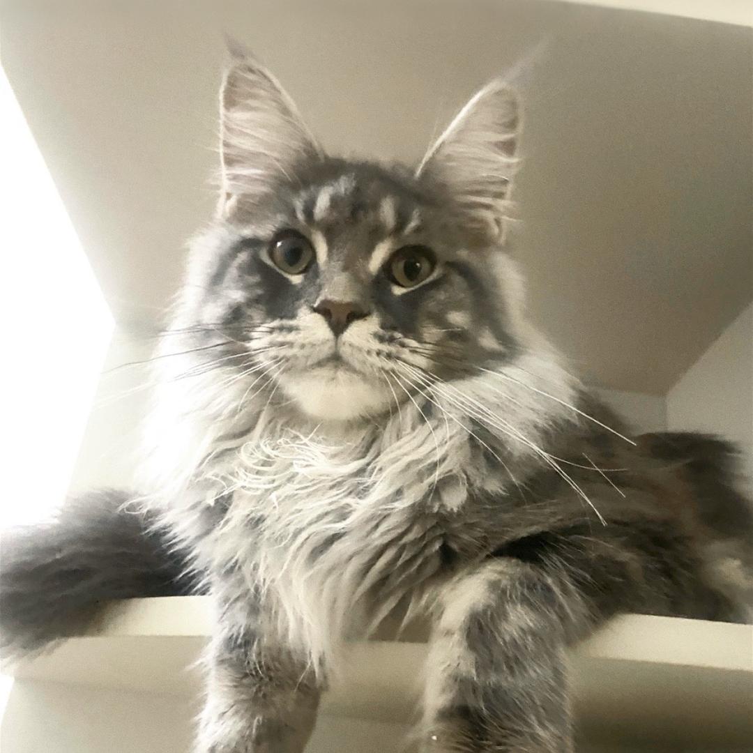 不会压弯的土豆🥔