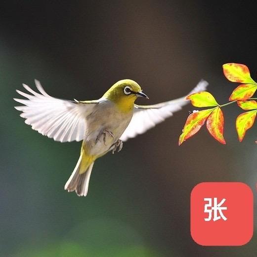 别让我生气