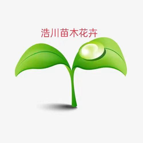 浩川苗木花卉