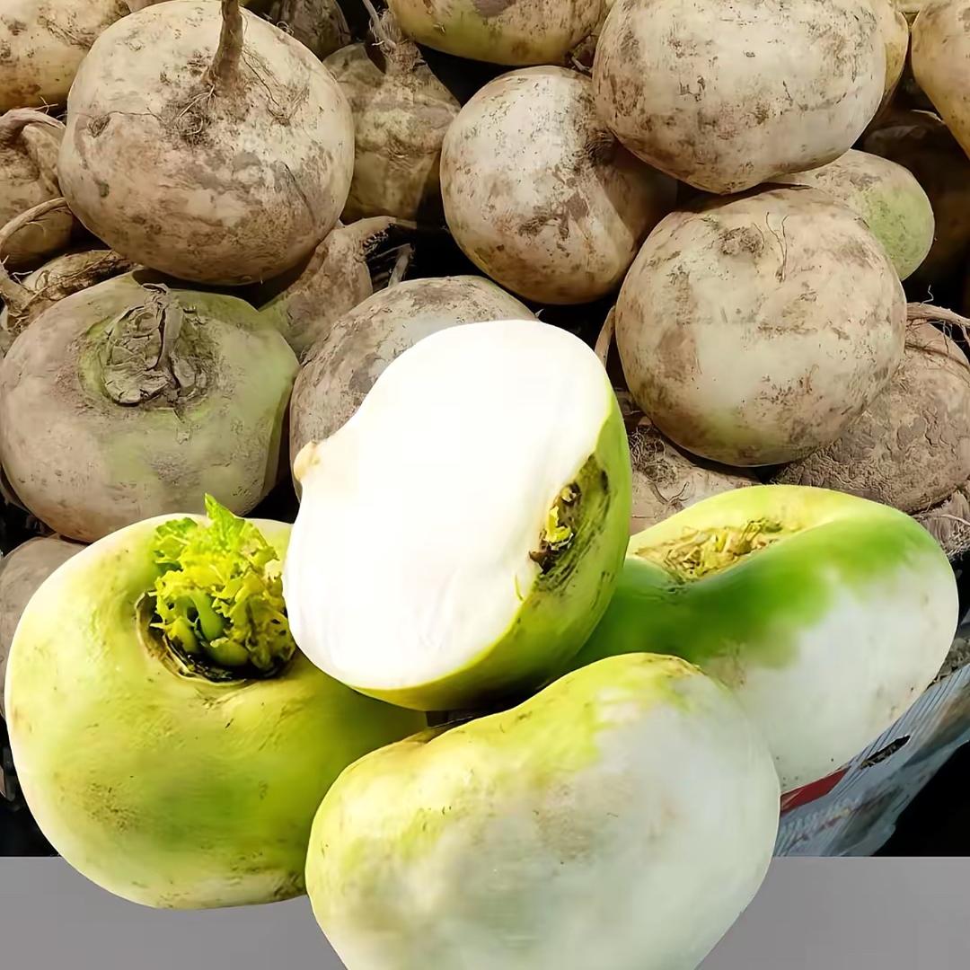 新疆恰玛古（原浆）