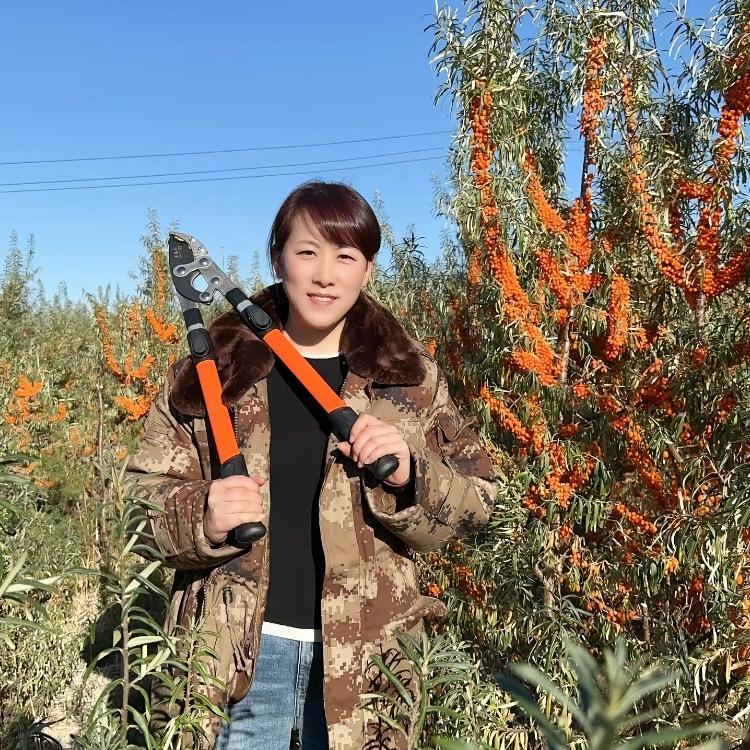 佩优棘沙棘 小文