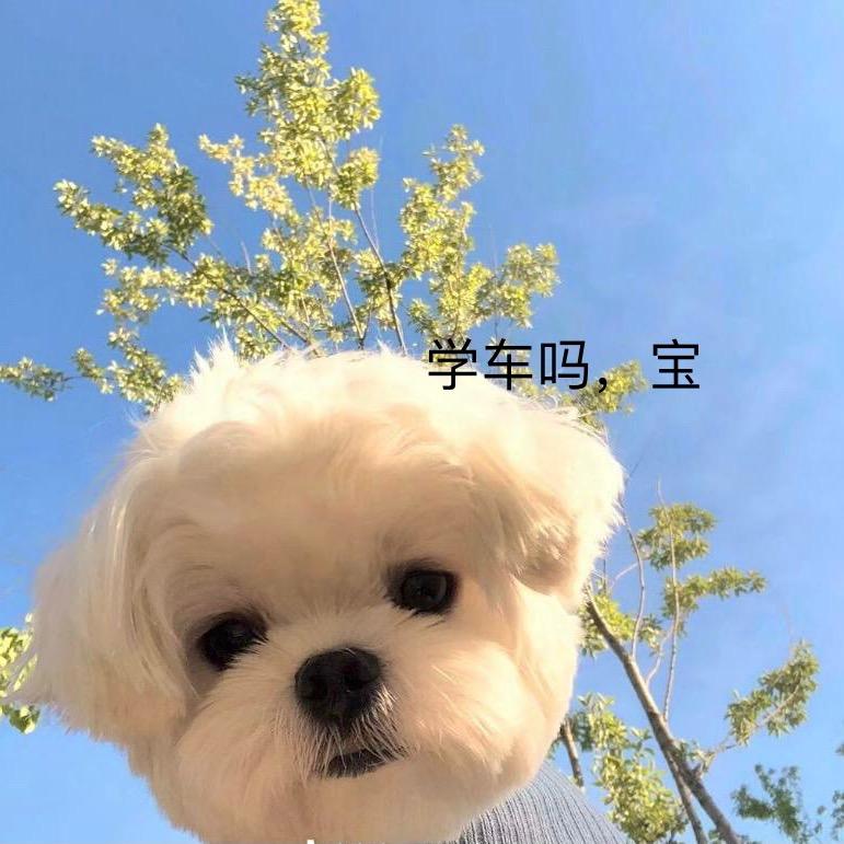 凯旋驾校小张教练